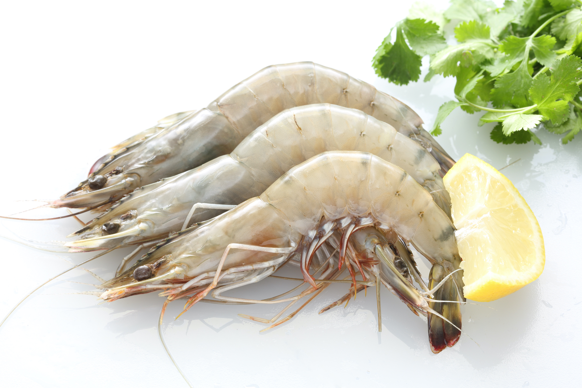 langostino-crudo